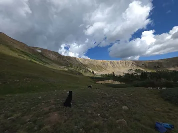 two black and white dogs sitting and standing on grassy terrain near a small pond with a rocky mountainous ridge and partly cloudy sky in the background