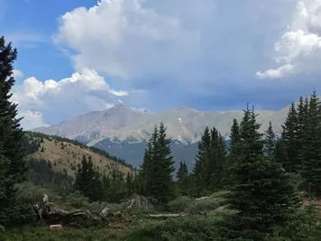 Evergreen trees in a mountainous landscape under a partly cloudy sky