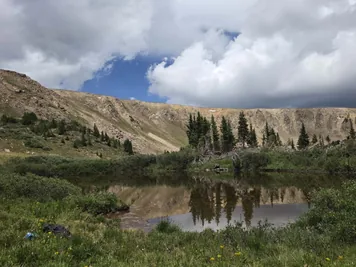 A small pond surrounded by green vegetation and pine trees, with a rocky hillside and cloudy sky in the background