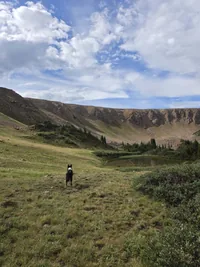 A dog standing on a grassy hillside looking toward a small pond surrounded by trees with rocky hills and a partly cloudy sky in the background