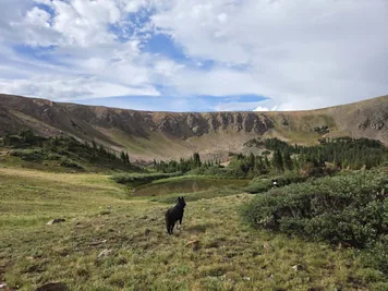 Two dogs overlooking a small pond surrounded by hills and scattered trees under a partly cloudy sky