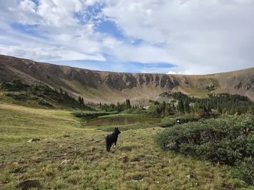 Two dogs in a grassy valley near a small pond surrounded by rocky hills and scattered trees under a partly cloudy sky