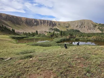 Two black dogs near two small ponds surrounded by grassy terrain and rocky hills under a partly cloudy sky