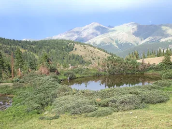 Mountain landscape with a small reflective pond surrounded by dense greenery and pine trees under a clear blue sky