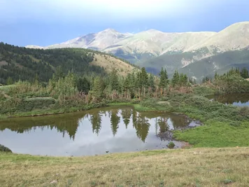 Small pond with reflections of pine trees surrounded by grassy and forested hills with mountains in the background under a clear sky
