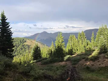 Evergreen trees on a sunlit hillside with a faint rainbow over distant mountains under a cloudy sky